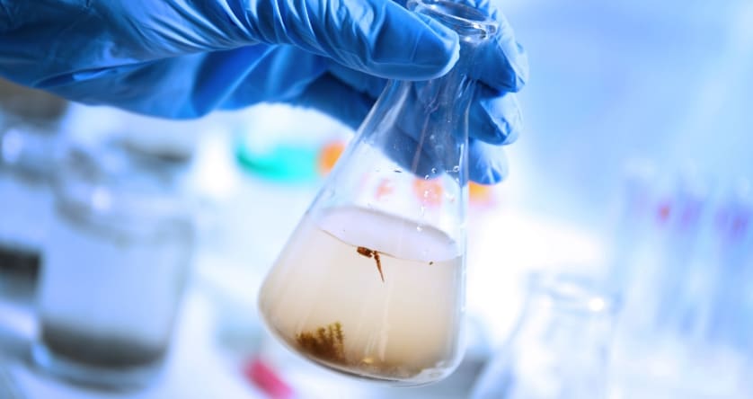 Microbiological Analysis: